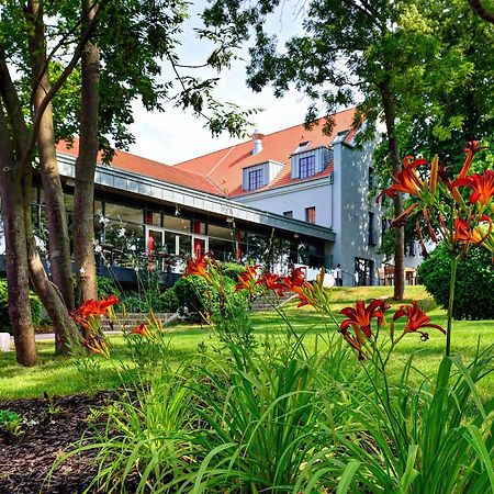 Arthotel Kiebitzberg Havelberg Eksteriør billede