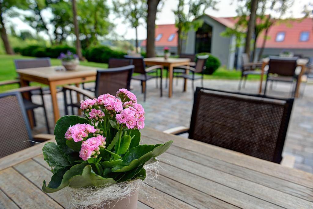 Arthotel Kiebitzberg Havelberg Eksteriør billede
