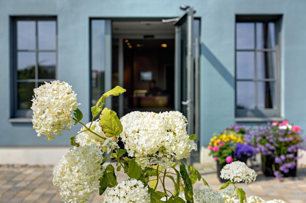 Arthotel Kiebitzberg Havelberg Eksteriør billede